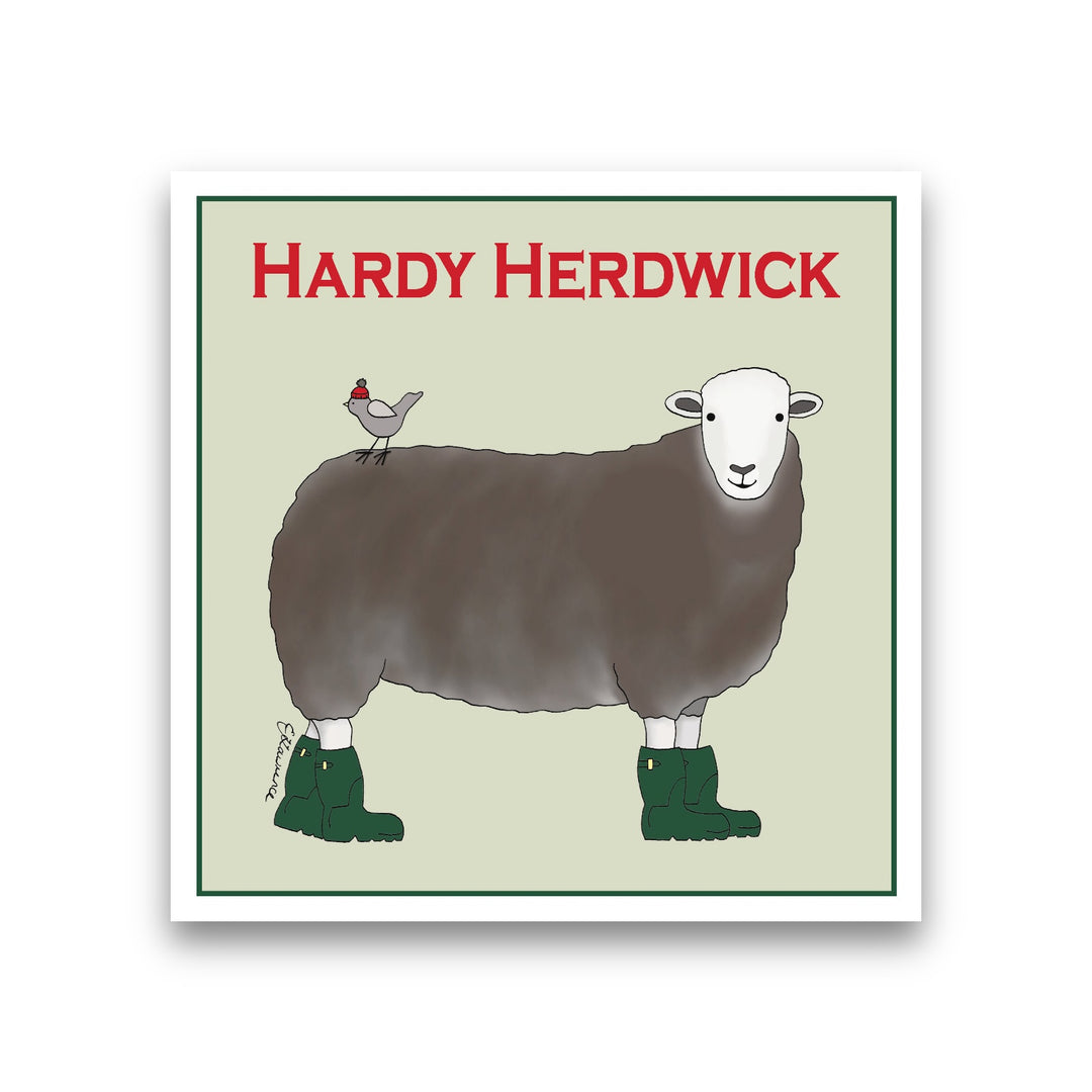 Hardy Herdwick
